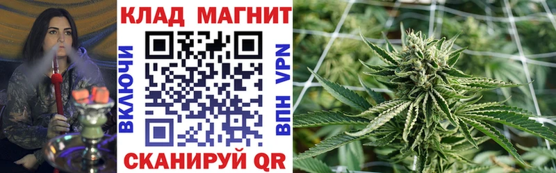 МЕФ Онега