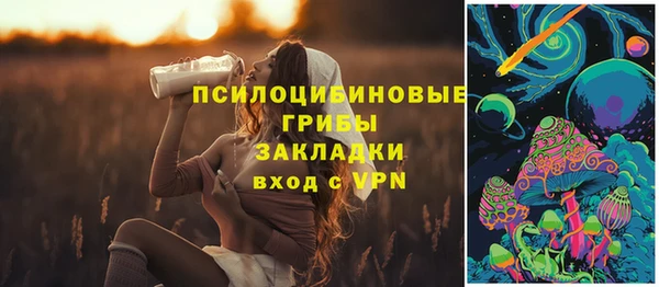 дживик Баксан