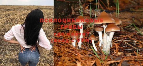 a pvp Балахна