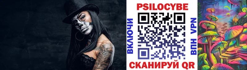 mega ссылки  Онега  Псилоцибиновые грибы Psilocybe  продажа наркотиков 